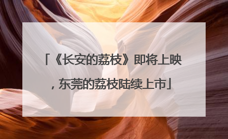 《长安的荔枝》即将上映，东莞的荔枝陆续上市