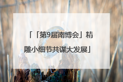「第9届南博会」精雕小细节共谋大发展