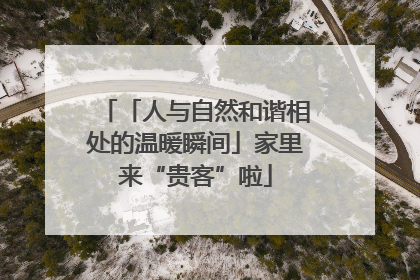 「人与自然和谐相处的温暖瞬间」家里来“贵客”啦