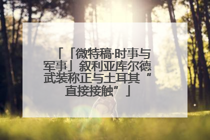 「微特稿·时事与军事」叙利亚库尔德武装称正与土耳其“直接接触”