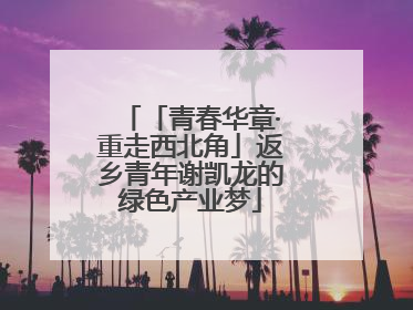 「青春华章·重走西北角」返乡青年谢凯龙的绿色产业梦