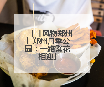 「风物郑州」郑州月季公园：一路繁花相迎