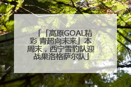 「高原GOAL精彩 青超向未来」本周末，西宁雪豹队迎战果洛格萨尔队