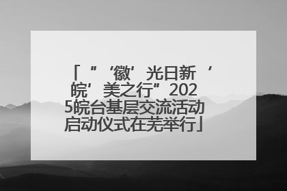“‘徽’光日新‘皖’美之行”2025皖台基层交流活动启动仪式在芜举行