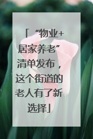 “物业+居家养老”清单发布，这个街道的老人有了新选择