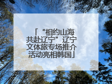 “相约山海 共赴辽宁”辽宁文体旅专场推介活动亮相韩国