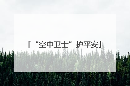 “空中卫士”护平安