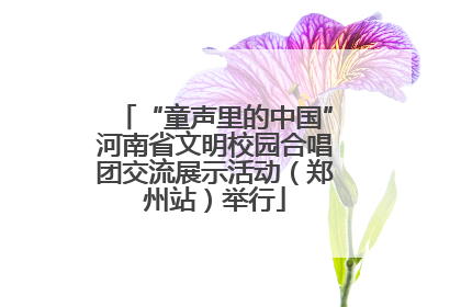“童声里的中国”河南省文明校园合唱团交流展示活动（郑州站）举行
