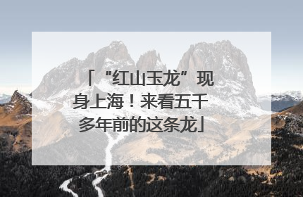 “红山玉龙”现身上海！来看五千多年前的这条龙