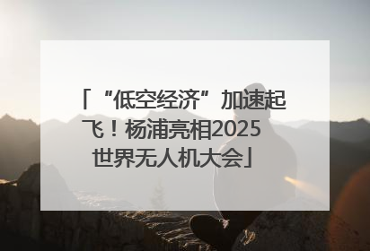 “低空经济”加速起飞！杨浦亮相2025世界无人机大会