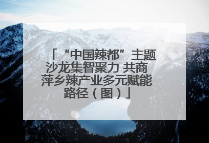 “中国辣都”主题沙龙集智聚力 共商萍乡辣产业多元赋能路径（图）