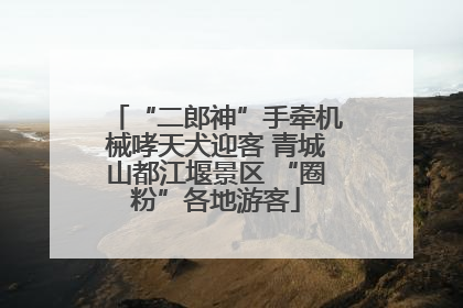 “二郎神”手牵机械哮天犬迎客 青城山都江堰景区 “圈粉”各地游客