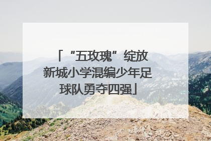“五玫瑰”绽放 新城小学混编少年足球队勇夺四强