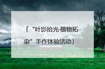 “叶影拾光·植物拓染”手作体验活动