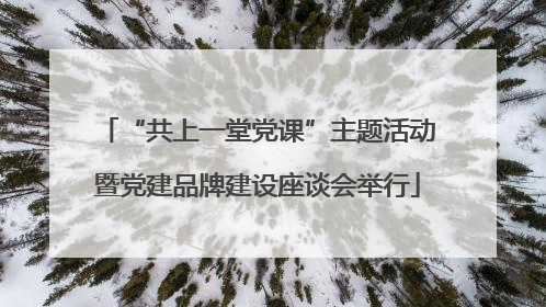 “共上一堂党课”主题活动暨党建品牌建设座谈会举行