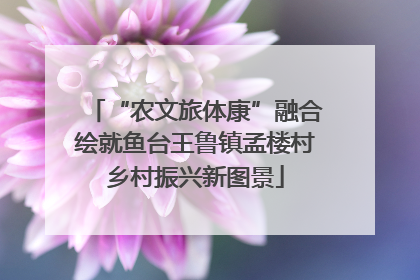 “农文旅体康”融合绘就鱼台王鲁镇孟楼村乡村振兴新图景