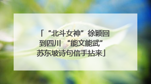 “北斗女神”徐颖回到四川 “能文能武”苏东坡诗句信手拈来