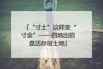 “寸土”这样变“寸金”——四地出招盘活存量土地