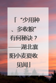 “少用种、多收粮”有何秘诀？——湖北襄阳小麦夏收见闻