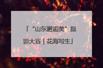 “山东邂逅美”摄影大赛｜花海写生