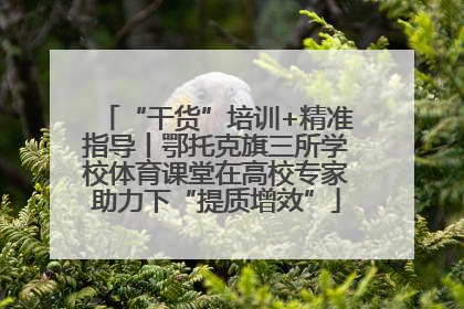 “干货”培训+精准指导丨鄂托克旗三所学校体育课堂在高校专家助力下“提质增效”