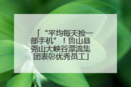 “平均每天捡一部手机”！鲁山县尧山大峡谷漂流集团表彰优秀员工