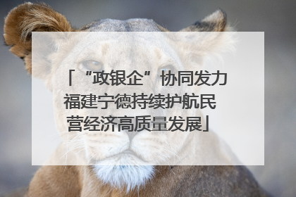 “政银企”协同发力 福建宁德持续护航民营经济高质量发展