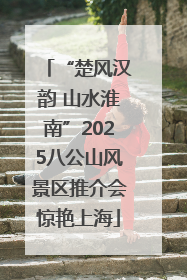 “楚风汉韵 山水淮南”2025八公山风景区推介会惊艳上海