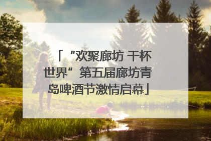 “欢聚廊坊 干杯世界”第五届廊坊青岛啤酒节激情启幕