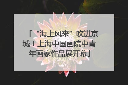 “海上风来”吹进京城！上海中国画院中青年画家作品展开幕