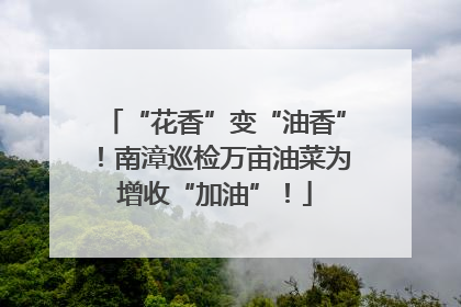 “花香”变“油香”！南漳巡检万亩油菜为增收“加油”！