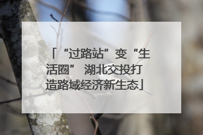“过路站”变“生活圈” 湖北交投打造路域经济新生态