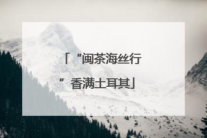 “闽茶海丝行”香满土耳其