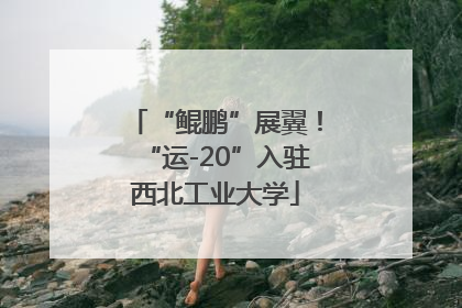 “鲲鹏”展翼！“运-20”入驻西北工业大学