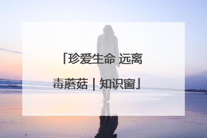 珍爱生命 远离毒蘑菇｜知识窗