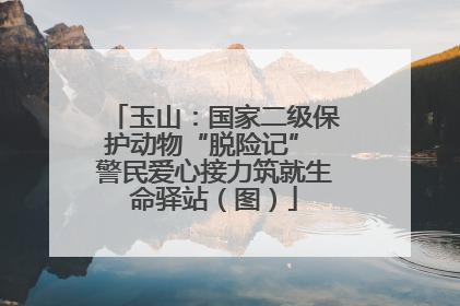 玉山：国家二级保护动物“脱险记” 警民爱心接力筑就生命驿站（图）