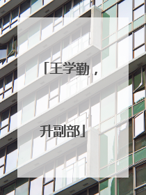 王学勤，升副部