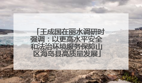 王成国在丽水调研时强调：以更高水平安全和法治环境服务保障山区海岛县高质量发展