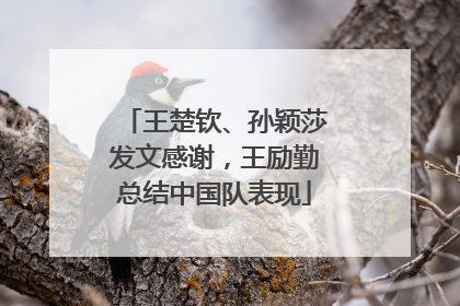 王楚钦、孙颖莎发文感谢，王励勤总结中国队表现