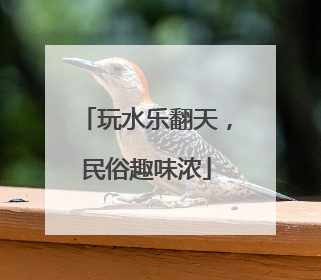 玩水乐翻天，民俗趣味浓
