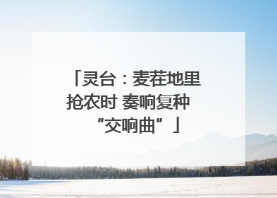 灵台：麦茬地里抢农时 奏响复种“交响曲”