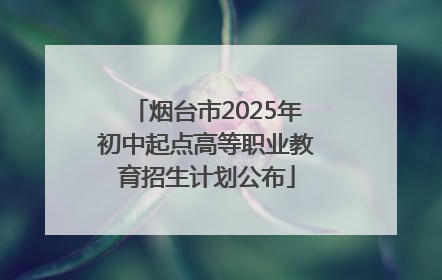 烟台市2025年初中起点高等职业教育招生计划公布
