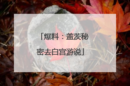 爆料：盖茨秘密去白宫游说