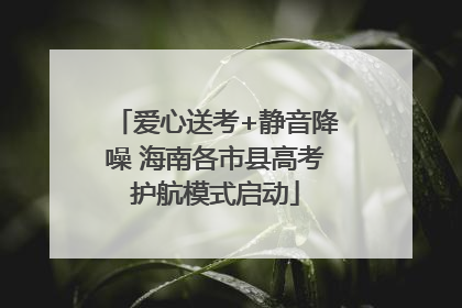 爱心送考+静音降噪 海南各市县高考护航模式启动