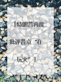 特朗普再度批评普京“在玩火”