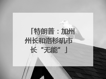特朗普：加州州长和洛杉矶市长“无能”