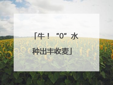 牛！“0”水种出丰收麦