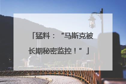 猛料：“马斯克被长期秘密监控！”