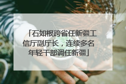 石如根跨省任新疆工信厅副厅长，连续多名年轻干部调任新疆