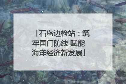 石岛边检站：筑牢国门防线 赋能海洋经济新发展